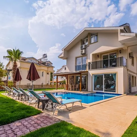 Infinity Lily 1 פאטהיה